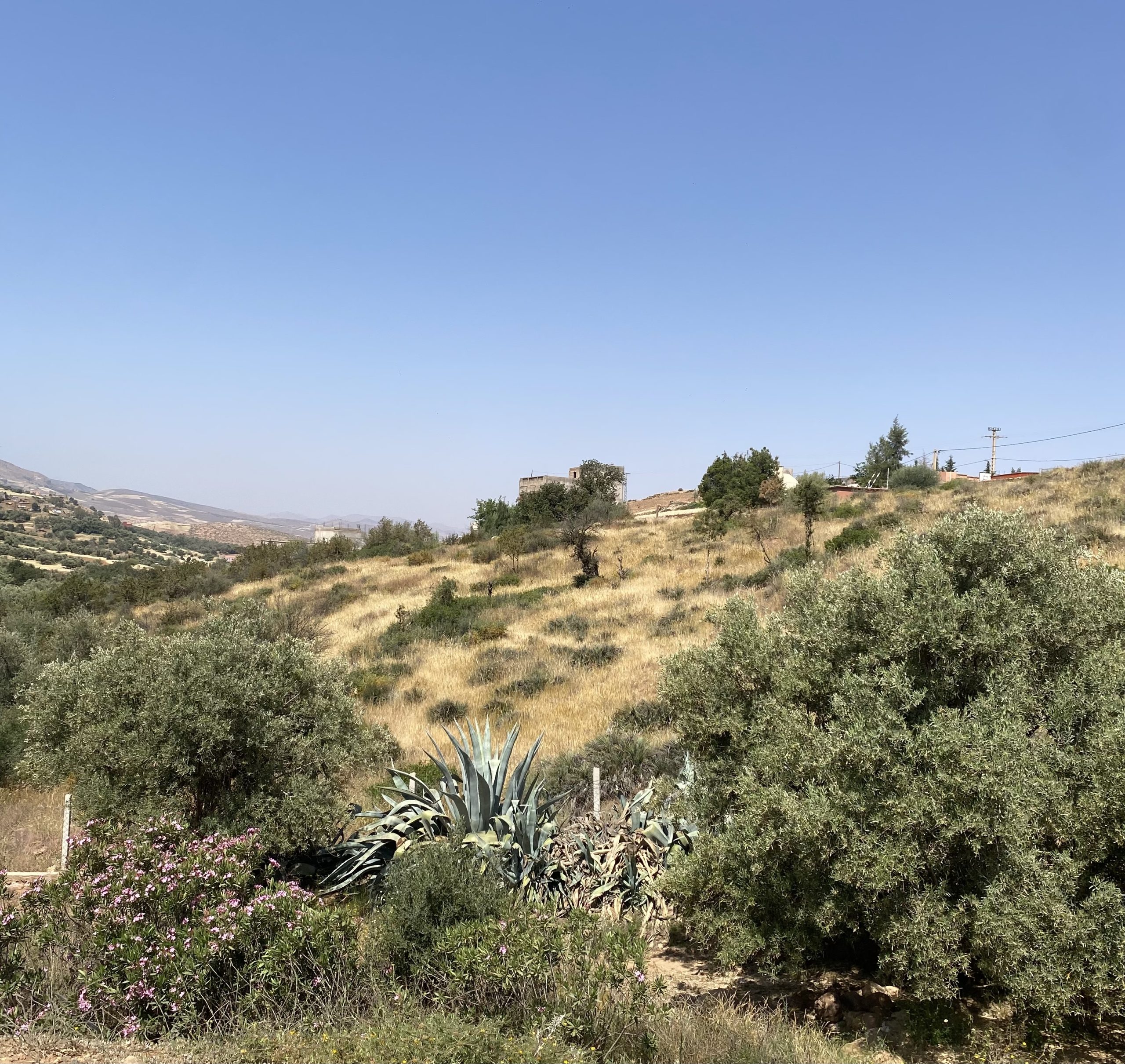 Agounsane, le paysage